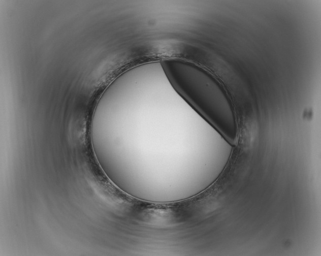 X0000112820552200909111325