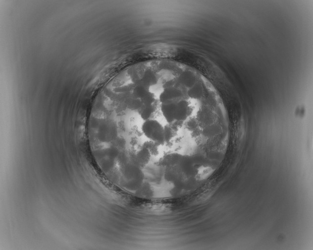 X0000112820553200909111325