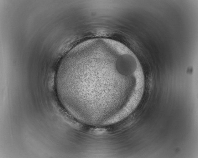 X0000112820554200909111325