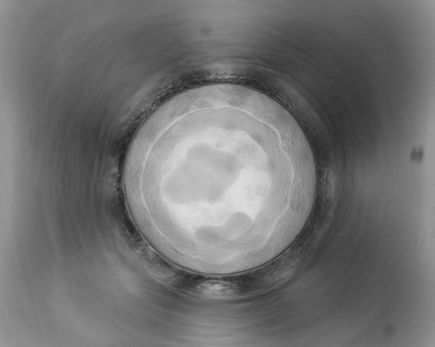 X0000112820557200909111325