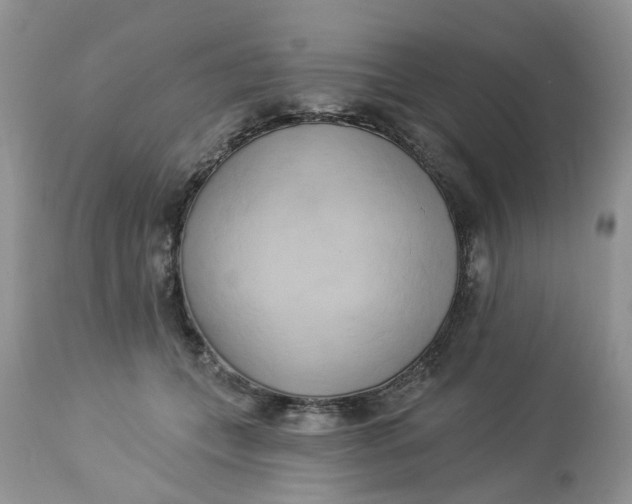 X0000112820559200909111325