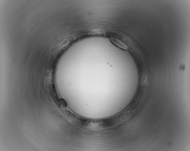 X0000112820560200909111325