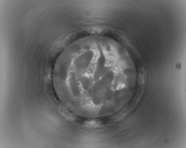 X0000112820561200909111325