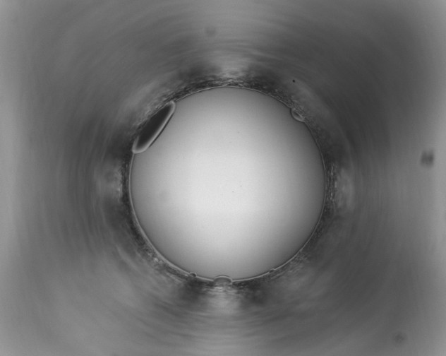 X0000112820562200909111325