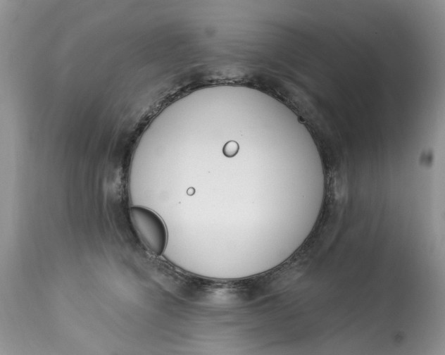 X0000112820564200909111325