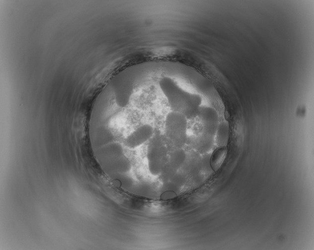 X0000112820565200909111325