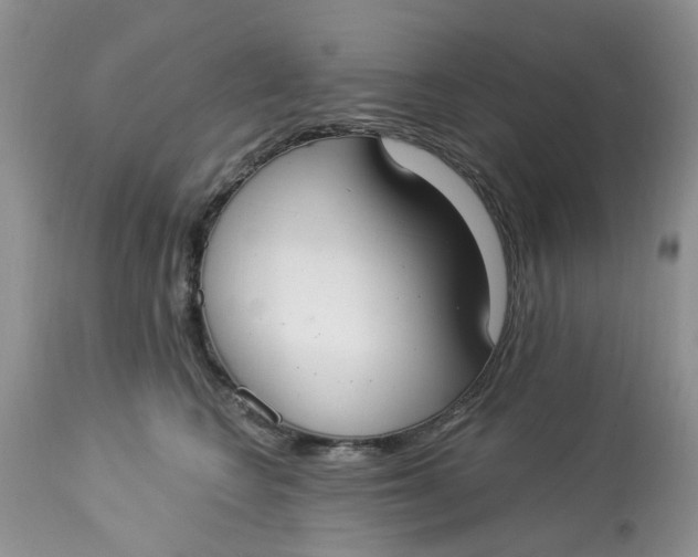 X0000112820566200909111325