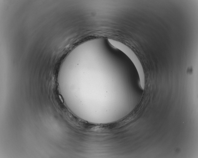 X0000112820568200909111325