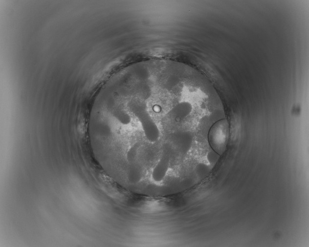 X0000112820569200909111325