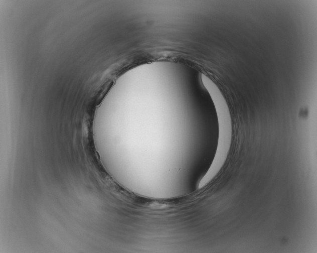 X0000112820570200909111325