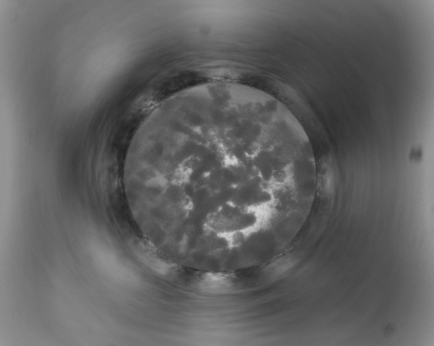 X0000112820573200909111325