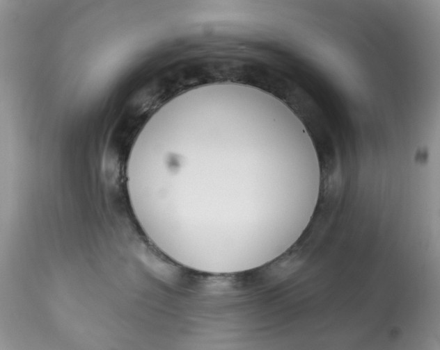 X0000112820574200909111325