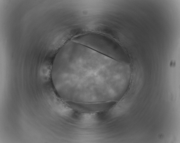 X0000112820576200909111325