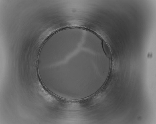 X0000112820577200909111324