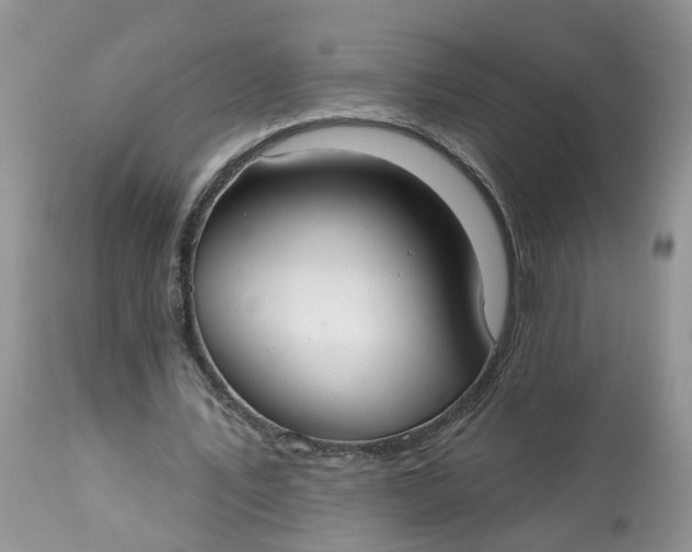 X0000112820579200909111324