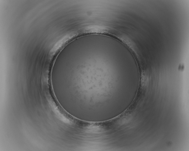 X0000112820581200909111324