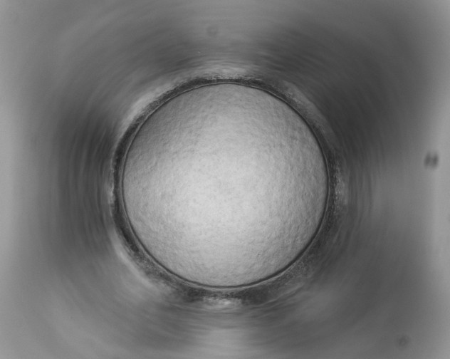 X0000112820582200909111324