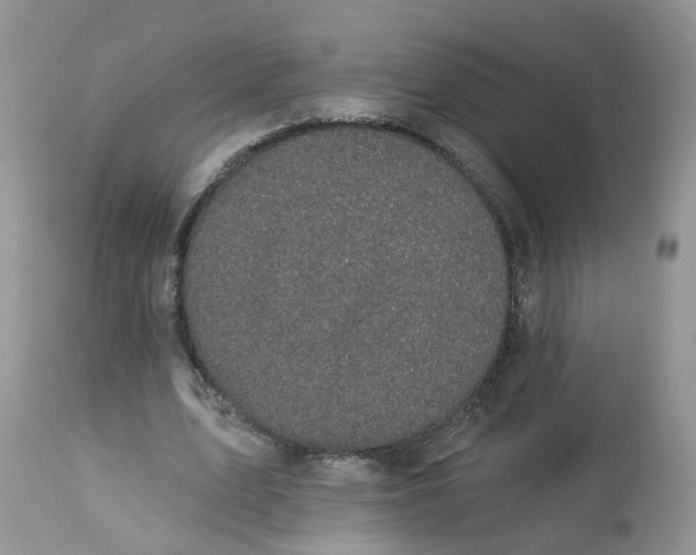 X0000112820583200909111324