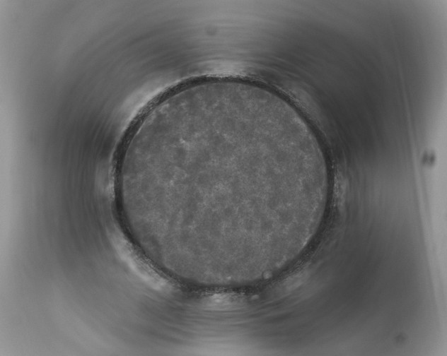 X0000112820584200909111324