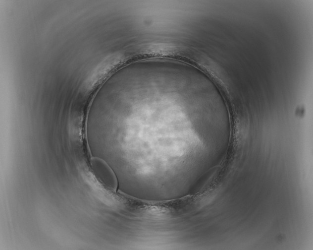 X0000112820585200909111324