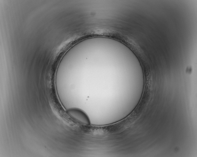 X0000112820587200909111324