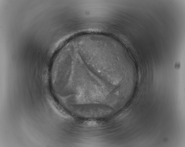 X0000112820588200909111324