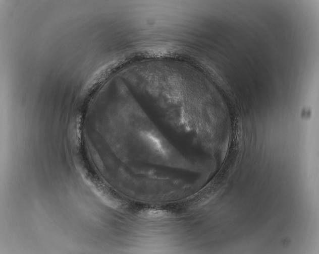 X0000112820590200909111324