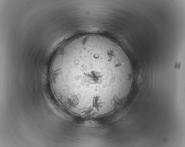 X0000112820591200909111324