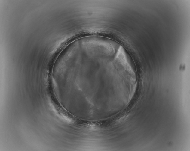 X0000112820592200909111324