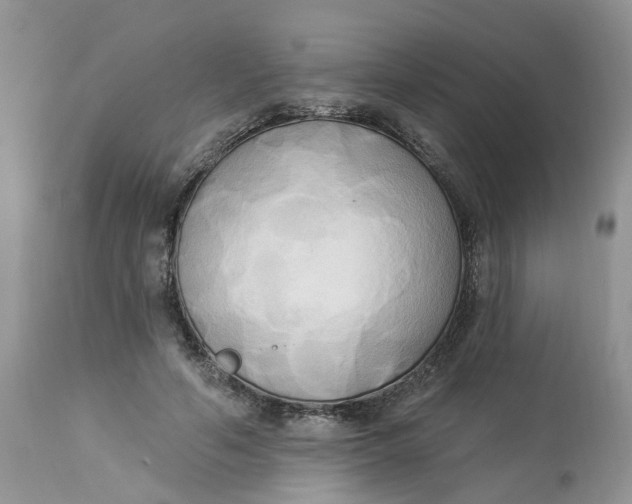 X0000112820594200909111324