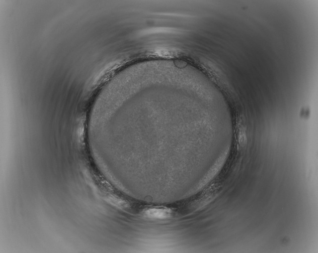 X0000112820595200909111324