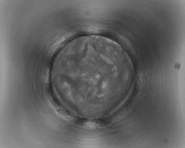 X0000112820596200909111324