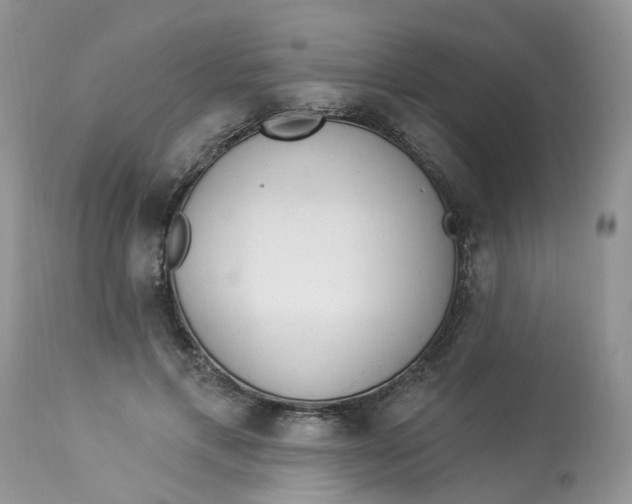 X0000112820597200909111324