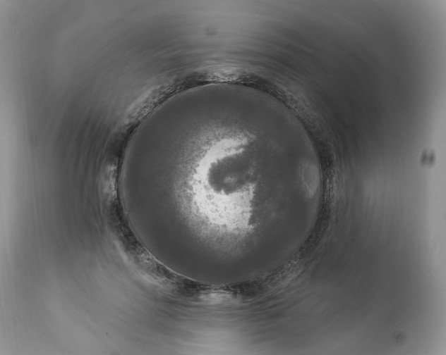 X0000112820598200909111324