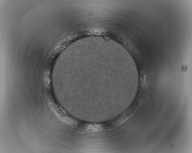 X0000112820599200909111324