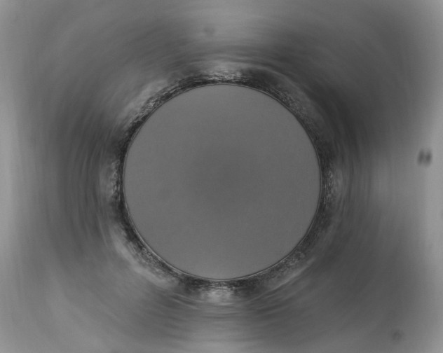 X0000112820600200909111324