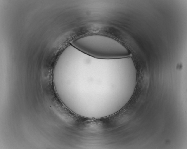 X0000112820601200909111324