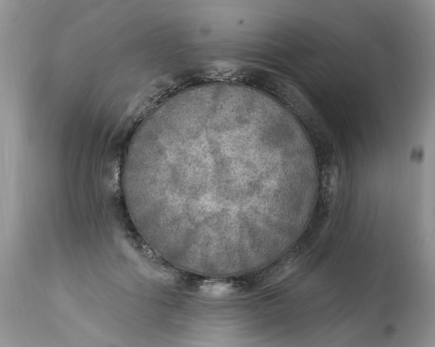 X0000112820602200909111324