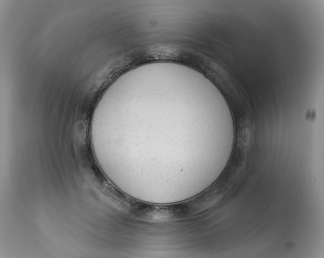 X0000112820604200909111324