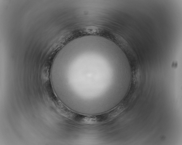 X0000112820606200909111324