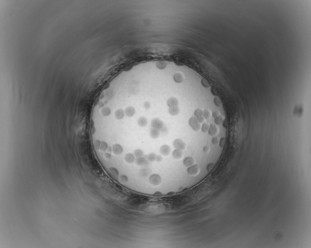 X0000112820608200909111324