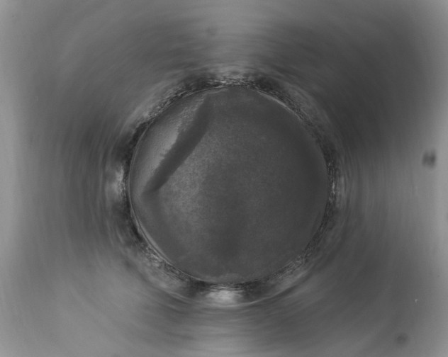 X0000112820610200909111324