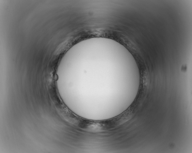 X0000112820611200909111324