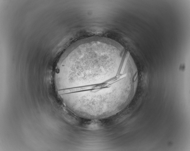 X0000112820612200909111324