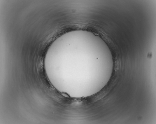 X0000112820613200909111324