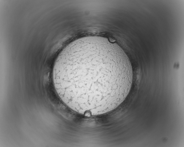 X0000112820615200909111324