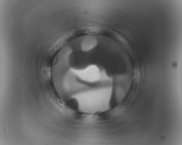 X0000112820621200909111324