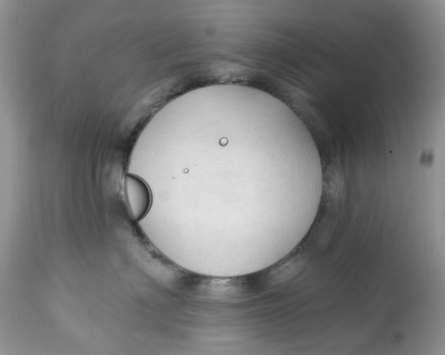 X0000112820622200909111324