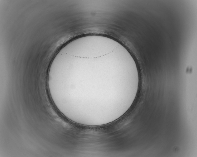 X0000112820625200909111323