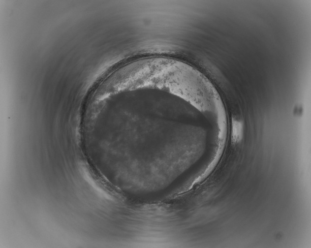 X0000112820627200909111323